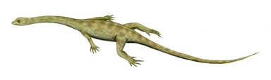 † Hyphalosaurus lingyuanensis (vor etwa 145 bis 100,5 Millionen Jahren)