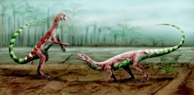 † Malerisaurus robinsonae (vor etwa 235 bis 201,3 Millionen Jahren)