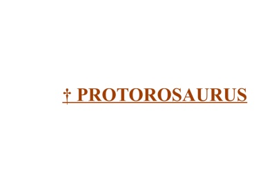 † Protorosaurus