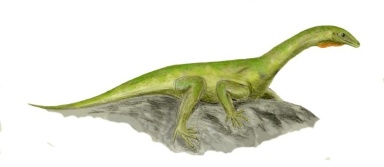 † Protorosaurus speneri (vor etwa 259,9 bis 251,9 Millionen Jahren)