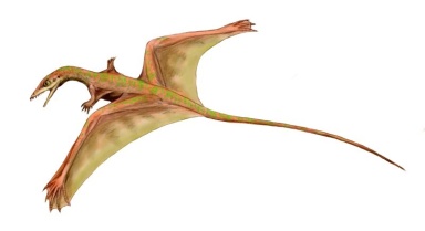 † Sharovipteryx mirabilis (vor etwa 247,2 bis 201,3 Millionen Jahren)