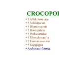 Crocopoda