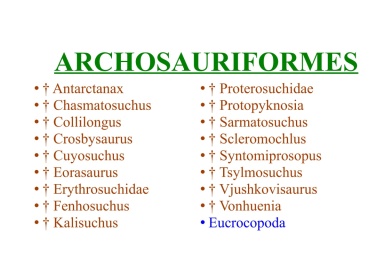 Archosauriformes