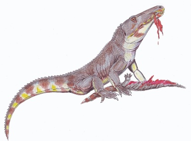 † Chasmatosuchus rossicus (vor etwa 251,2 bis 247,2 Millionen Jahren)