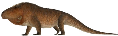 † Erythrosuchus africanus (vor etwa 251,9 bis 235 Millionen Jahren)