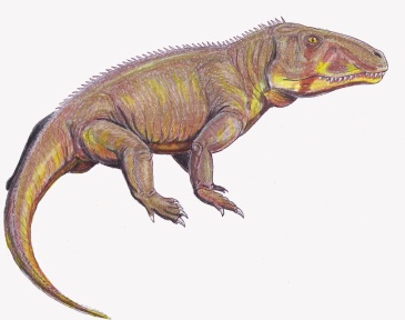 † Shanshisuchus shansisuchus (vor etwa 247,2 bis 235 Millionen Jahren)