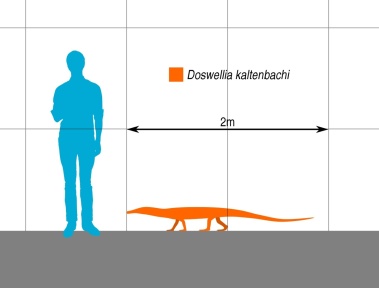 † Doswellia kaltenbachi (vor etwa 235 bis 201,3 Millionen Jahren)