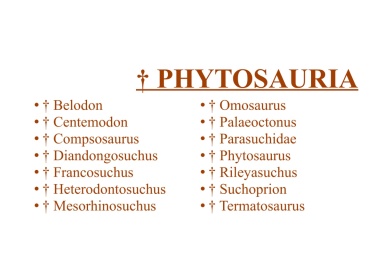 † Phytosauria