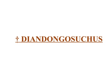 † Diandongosuchus