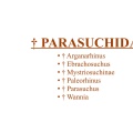 † Parasuchidae