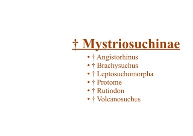 † Mystriosuchinae