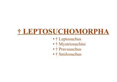 † Leptosuchomorpha