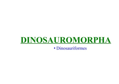 Dinosauromorpha