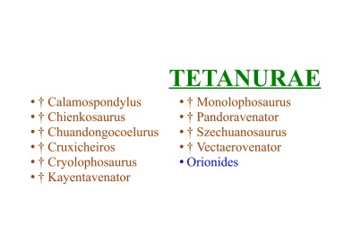 Tetanurae