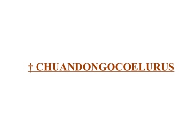 † Chuandongocoelurus