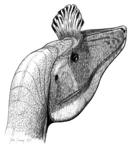 † Cryolophosaurus ellioti (vor etwa 199,3 bis 182,7 Millionen Jahren)