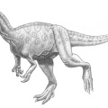 † Monolophosaurus jiangi (vor etwa 166,1 bis 157,3 Millionen Jahren)