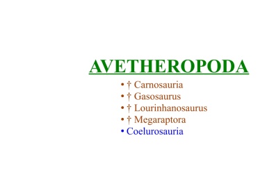 Avetheropoda