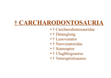 † Carcharodontosauria