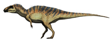 † Acrocanthosaurus atokensis (vor etwa 126,3 bis 100,5 Millionen Jahren)