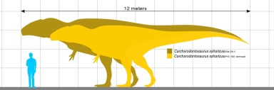 † Carcharodontosaurus saharicus (vor etwa 100,5 bis 93,9 Millionen Jahren)