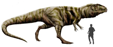 † Giganotosaurus carolinii (vor etwa 100,5 bis 93,9 Millionen Jahren)