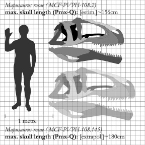 † Mapusaurus roseae (vor etwa 100,5 bis 89,7 Millionen Jahren)