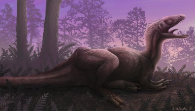 † Concavenator corcovatus (vor etwa 130,7 bis 112,9 Millionen Jahren)