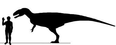 † Eocarcharia dinops (vor etwa 126,3 bis 100,5 Millionen Jahren)