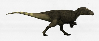 † Lajasvenator ascheriae (vor etwa 139,3 bis 133,9 Millionen Jahren)