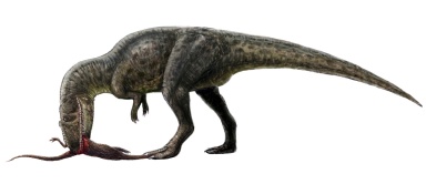 † Shaochilong maortuensis (vor etwa 93,9 bis 89,7 Millionen Jahren)