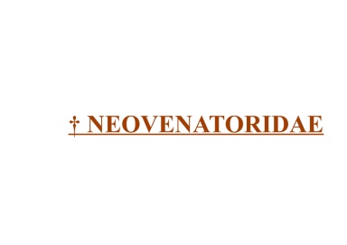 † Neovenatoridae