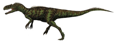 † Chilantaisaurus tashuikouensis (vor etwa 93,9 bis 89,7 Millionen Jahren)