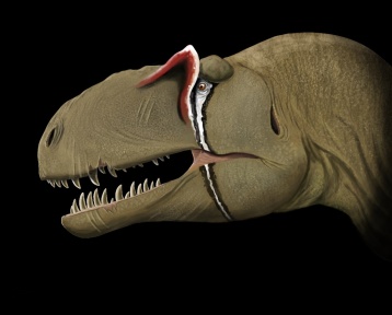 † Asfaltovenator vialidadi (vor etwa 182,7 bis 174,1 Millionen Jahren)