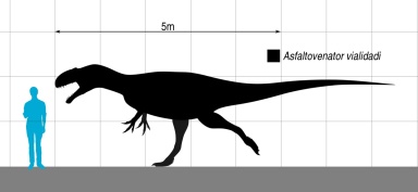 † Asfaltovenator vialidadi (vor etwa 182,7 bis 174,1 Millionen Jahren)