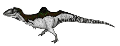 † Altispinax dunkeri (vor etwa 145 bis 130,7 Millionen Jahren)