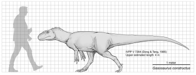 † Gasosaurus constructus (vor etwa 166,1 bis 163,5 Millionen Jahren)