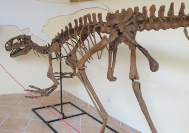 † Lourinhanosaurus antunesi (vor etwa 152,1 bis 145 Millionen Jahren)