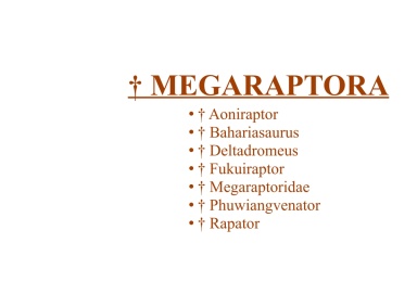 † Megaraptora
