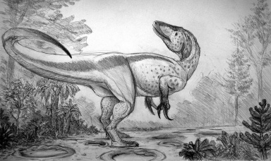 † Megaraptor namunhuaiquii (vor etwa 93,9 bis 86,3 Millionen Jahren)