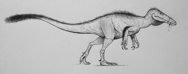 † Rapator ornitholestoides (vor etwa 112,9 bis 93,9 Millionen Jahren)