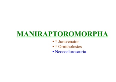 Maniraptoromorpha