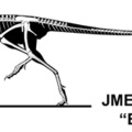 † Juravenator starki (vor etwa 152,1 bis 145 Millionen Jahren)