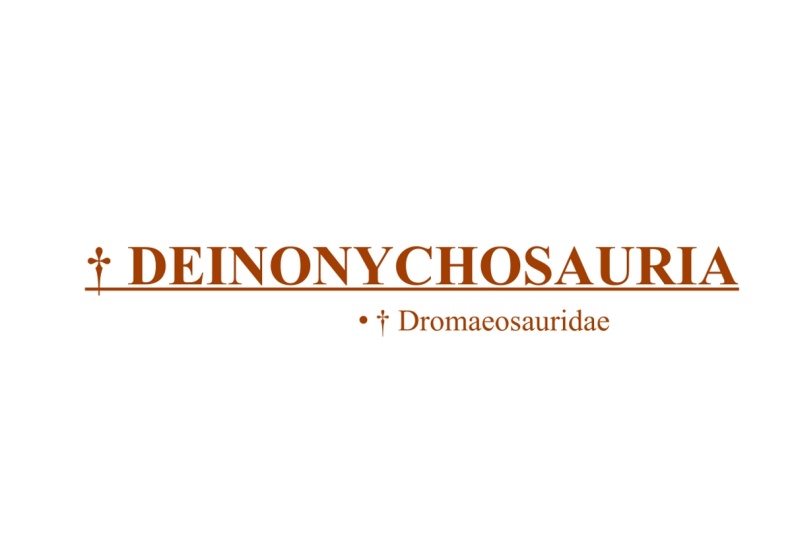 † Deinonychosauria
