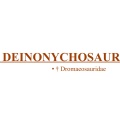 † Deinonychosauria