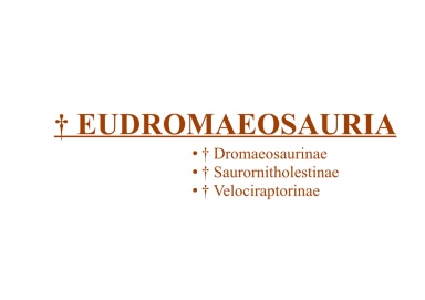 † Eudromaeosauria