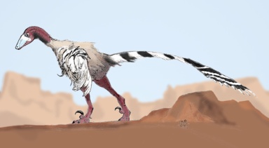 † Achillobator giganticus (vor etwa 100,5 bis 89,7 Millionen Jahren)