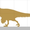 † Achillobator giganticus (vor etwa 100,5 bis 89,7 Millionen Jahren)