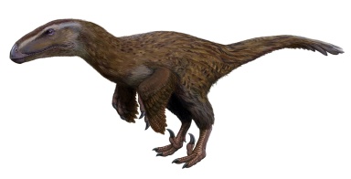 † Dromaeosauroides bornholmensis (vor etwa 145 bis 139,3 Millionen Jahren)
