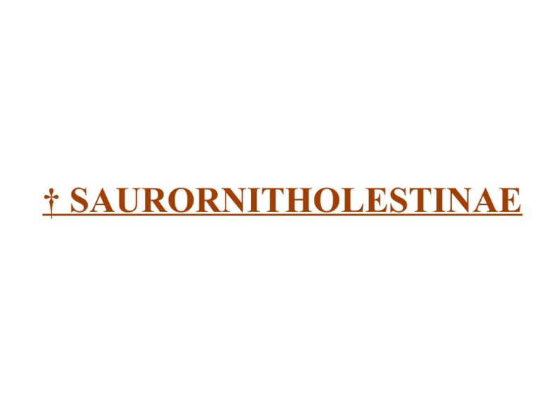 † Saurornitholestinae